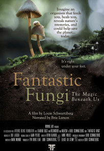 Fantastic Fungi Poster Email Friendly