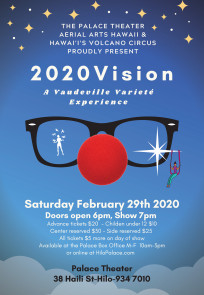 2020VISION(11x17)