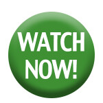 watch-now-button