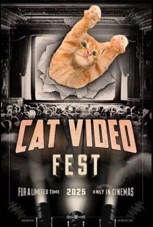 CatVideoFest 2025