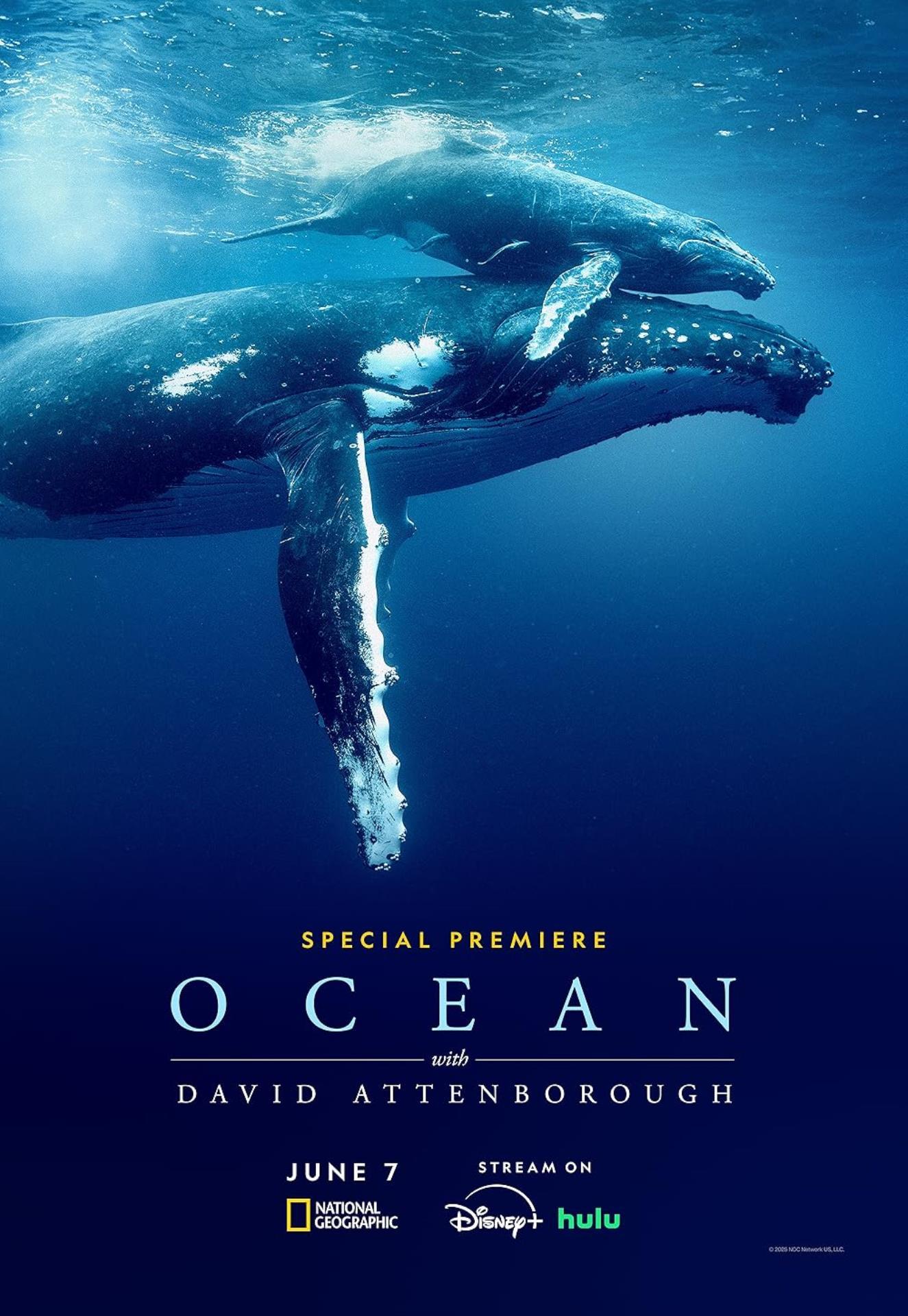 OCEAN with David Attenborough